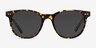 Sol Tortoise Gray AcetateSunglass Frames from EyeBuyDirect, Front View