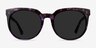 Queen Purple Tortoise AcetateSunglass Frames from EyeBuyDirect, Front View