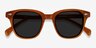 Sao Paulo Brown AcetateSunglass Frames from EyeBuyDirect, Closed View