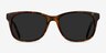 Borneo Tortoise AcetateSunglass Frames from EyeBuyDirect, Front View