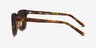 Borneo Tortoise AcetateSunglass Frames from EyeBuyDirect, Side View