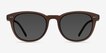 Hidden Brown PlasticSunglass Frames from EyeBuyDirect, Front View