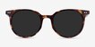 Hideout Tortoise AcetateSunglass Frames from EyeBuyDirect, Front View