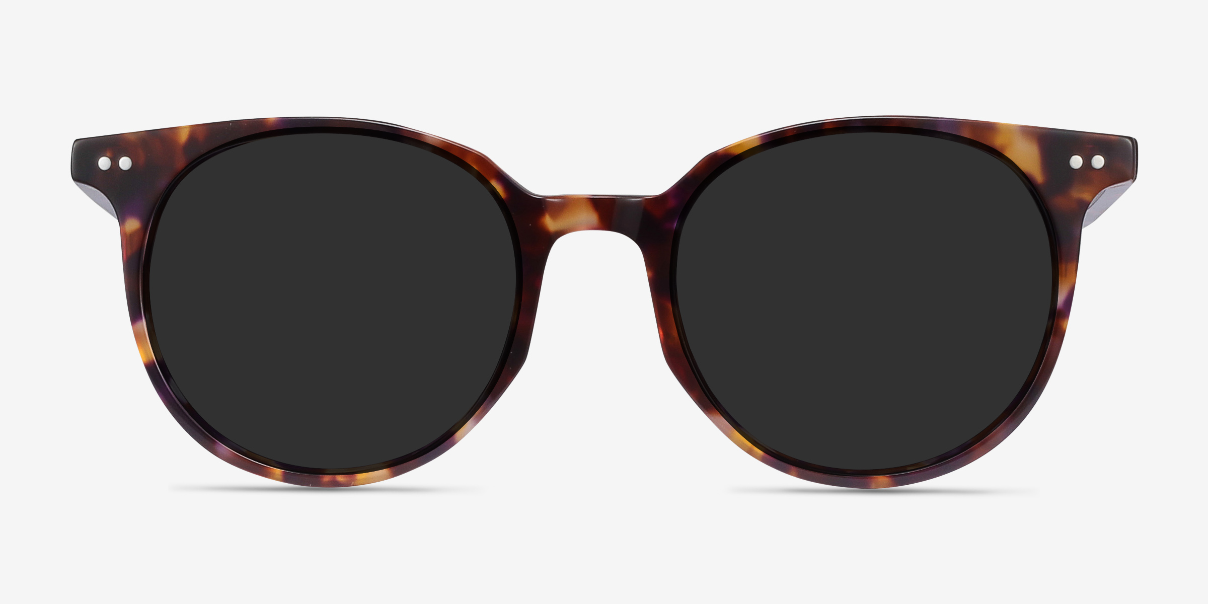 Tortoise Rounded Sunglasses main image 1