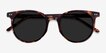 Hideout Tortoise AcetateSunglass Frames from EyeBuyDirect, Closed View