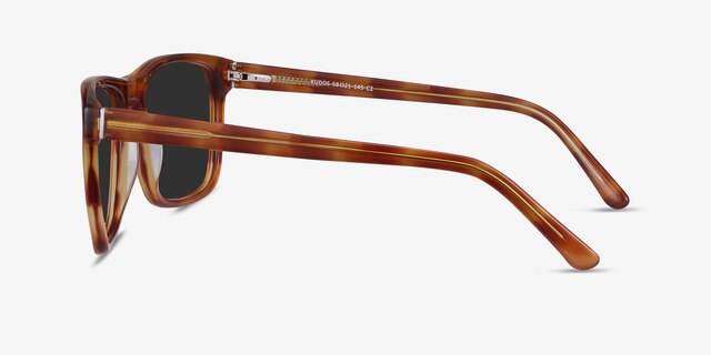 Kudos Brown AcetateSunglass Frames from EyeBuyDirect, Side View