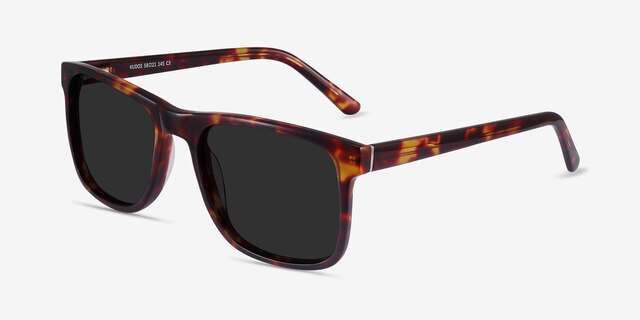 Kudos Tortoise AcetateSunglass Frames from EyeBuyDirect, Angle View