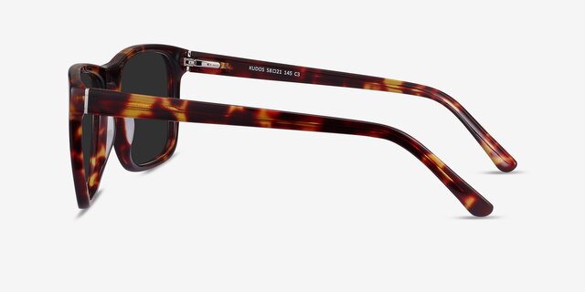 Kudos Tortoise AcetateSunglass Frames from EyeBuyDirect, Side View