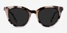 Cherish Ivory Tortoise AcetateSunglass Frames from EyeBuyDirect, Front View