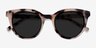 Cherish Ivory Tortoise AcetateSunglass Frames from EyeBuyDirect, Closed View