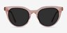 Cherish Champagne AcetateSunglass Frames from EyeBuyDirect, Front View