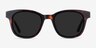 Sun Lighthouse Tortoise AcetateSunglass Frames from EyeBuyDirect, Front View