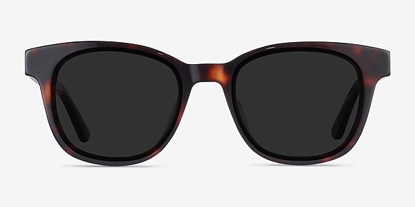 Sun Lighthouse Tortoise Acetate Sunglass Frames