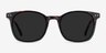Soleil Tortoise Green AcetateSunglass Frames from EyeBuyDirect, Front View