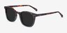 Soleil Tortoise Green AcetateSunglass Frames from EyeBuyDirect, Angle View