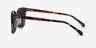 Soleil Tortoise Green AcetateSunglass Frames from EyeBuyDirect, Side View
