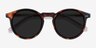 Luminance Écailles AcétateSoleil de Lunette de vue d'EyeBuyDirect, Vue Rapprochée