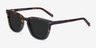 City Tortoise Green AcetateSunglass Frames from EyeBuyDirect, Angle View