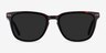 City Tortoise AcetateSunglass Frames from EyeBuyDirect, Front View