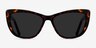 Sun Charlotte Tortoise AcetateSunglass Frames from EyeBuyDirect, Front View