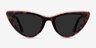 Secret Tortoise Pink AcetateSunglass Frames from EyeBuyDirect, Front View