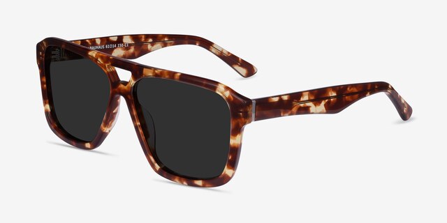 Bauhaus Havana Tortoise AcetateSunglass Frames from EyeBuyDirect, Angle View