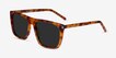 Jim Light Tortoise AcetateSunglass Frames from EyeBuyDirect, Angle View