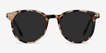Seah Tortoise AcetateSunglass Frames from EyeBuyDirect, Front View