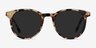 Seah Tortoise AcetateSunglass Frames from EyeBuyDirect, Front View