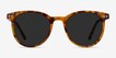 Seah Warm Tortoise AcetateSunglass Frames from EyeBuyDirect, Front View