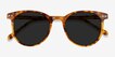 Seah Warm Tortoise AcetateSunglass Frames from EyeBuyDirect, Closed View