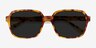 Marlon Tortoise AcetateSunglass Frames from EyeBuyDirect, Closed View