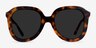 Wendy Tortoise AcetateSunglass Frames from EyeBuyDirect, Front View