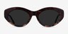 Fabulous Striped Tortoise AcetateSunglass Frames from EyeBuyDirect, Front View