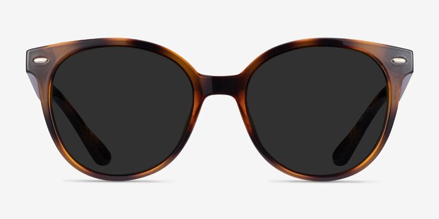 Domino Tortoise PlasticSunglass Frames from EyeBuyDirect, Front View