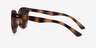 Domino Tortoise PlasticSunglass Frames from EyeBuyDirect, Side View