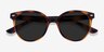 Domino Tortoise PlasticSunglass Frames from EyeBuyDirect, Closed View