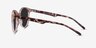 Talent Clear Brown Tortoise PlasticSunglass Frames from EyeBuyDirect, Side View