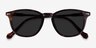 Memory Tortoise AcetateSunglass Frames from EyeBuyDirect, Closed View