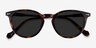 Origami Tortoise AcetateSunglass Frames from EyeBuyDirect, Closed View