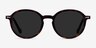 Ice Cream Tortoise AcetateSunglass Frames from EyeBuyDirect, Front View
