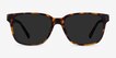 Rooney Tortoise AcetateSunglass Frames from EyeBuyDirect, Front View