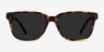 Rooney Tortoise AcetateSunglass Frames from EyeBuyDirect, Front View