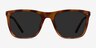 Cortado Honey Tortoise AcetateSunglass Frames from EyeBuyDirect, Front View