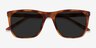 Cortado Honey Tortoise AcetateSunglass Frames from EyeBuyDirect, Closed View