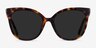 Gelato Tortoise AcetateSunglass Frames from EyeBuyDirect, Front View