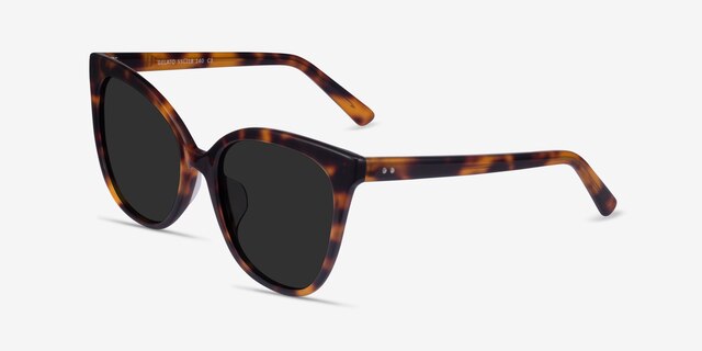 Gelato Tortoise AcetateSunglass Frames from EyeBuyDirect, Angle View