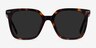 Parasol Tortoise AcetateSunglass Frames from EyeBuyDirect, Front View