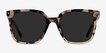 Parasol Light Tortoise AcetateSunglass Frames from EyeBuyDirect, Front View