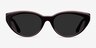 Palm Beach Champagne Brown AcetateSunglass Frames from EyeBuyDirect, Front View